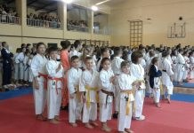 Karate: Osam zlata i dve bronze za Bečejce na Kupu Vojvodine